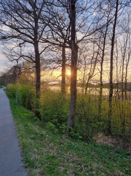 23 maj skulle vi ha blivit föräldrar om vi inte fått vårt tredje missfall. Vi skulle haft en bebis nu. 23 maj skulle vi ha blivit föräldrar om vi inte fått vårt tredje missfall. Vi skulle haft en bebis nu.