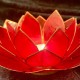 Lotusblomma, ljuslykta - Lotusblomma enkel röd