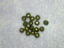 PGG013