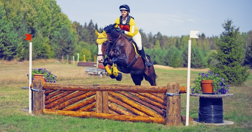 Ryttare rider över ett terränghinder under Arbottna Horse Show