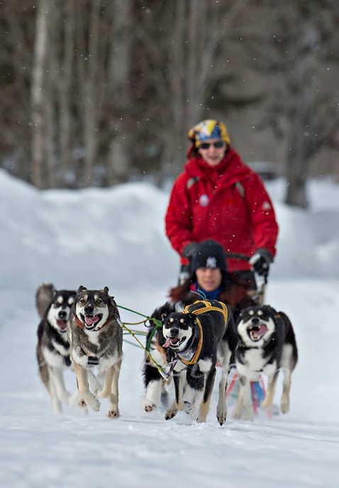 Gårdagens tur när Kirsten körde mitt teamoch jag fick äran att njuta i släden. Jag frös som fan men de var helt klart värt de. Photo; Alex Poulsen Gårdagens tur när Kirsten körde mitt teamoch jag fick äran att njuta i släden. Jag frös som fan men de var helt klart värt de. Photo; Alex Poulsen