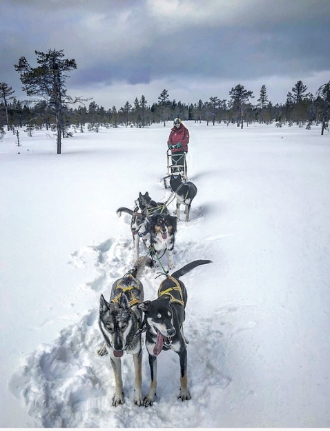 En av de få människor som jag är imponerad av. En av de få människor som jag är imponerad av.