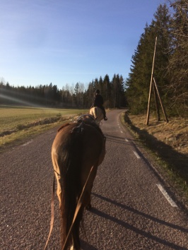 På kvällstur.. På kvällstur..