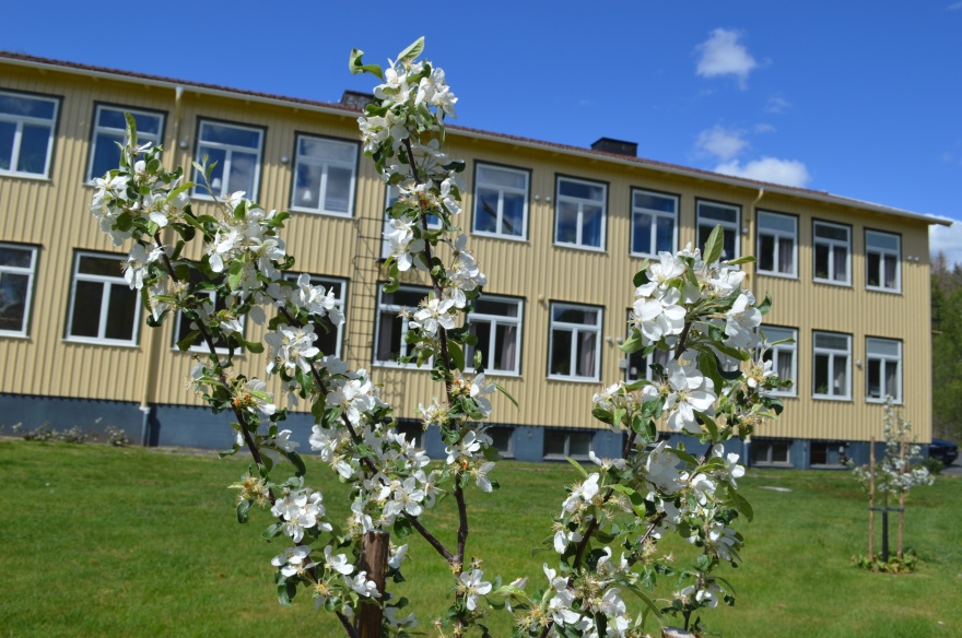 Kalvs skolhus - vandrarhem, kursgård & lägerskola i södra Västergörland på gränsen till Halland och Småland. Kalvs skolhus - vandrarhem, kursgård & lägerskola i södra Västergörland på gränsen till Halland och Småland.