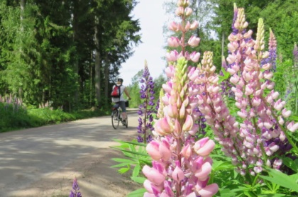 Fotograf: Cykla och vandra i Sjuhärad
