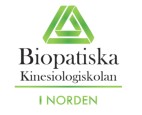 Grundkurs Friskvårdskinesiologi –  En kortare Kinesiologi  kurs hos Biopatiska Kinesiologiskolan i Norden