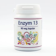 Enzym 13