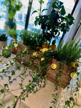 Eventstyling for @templarevents by @madebyintro