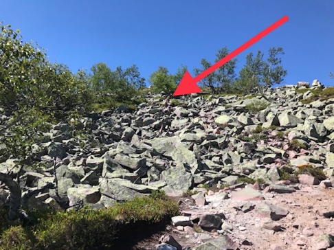 En dotter kvar att hämta ned över stenhavet. En dotter kvar att hämta ned över stenhavet.