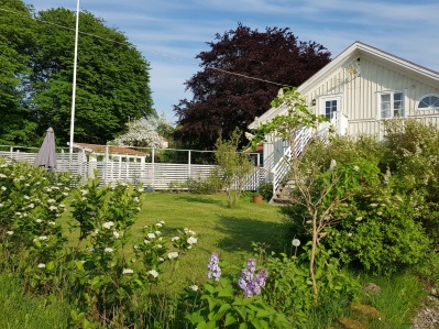 Åsa Gästis, boende, hyra cykel, hyra kajak, www.asagastis.se Åsa Gästis, boende, hyra cykel, hyra kajak, www.asagastis.se