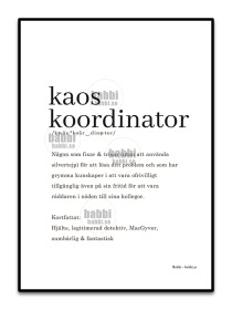 Kaoskoordinator