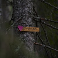 Rumpnisses träd