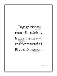 Jag gick in som människa
