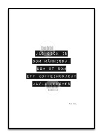 Jag gick in som människa