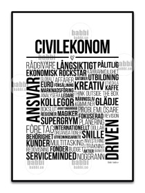 Civilekonom