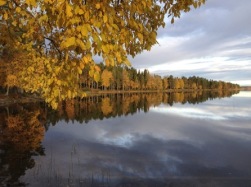 Bild ifrån Nydalasjön. Där finns fina cykel och vandringsleder. Copyright och fotograf Visitumea. Bild ifrån Nydalasjön. Där finns fina cykel och vandringsleder. Copyright och fotograf Visitumea.
