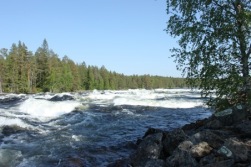 Bild ifrån Vindelälven. Copyright och fotograf Visitumea. Bild ifrån Vindelälven. Copyright och fotograf Visitumea.