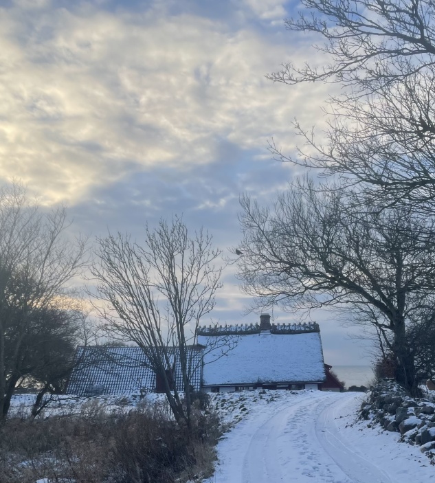 Vattenmöllan i vinterskrud   Foto: Clas Hellstrand, januari 2026