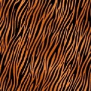 Bomullstyg Zebra gulbrun svart (Makower)