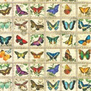 Bomullstyg fjärilar (Library Rarieties)