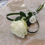 569200271_1480420983650763_5333240838351826510_n