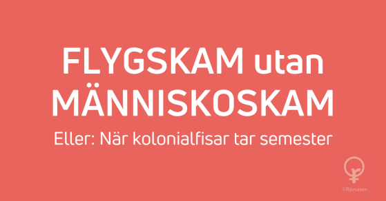 Rävsaxen blogginlägg: Flygskam utan människoskam. Eller: När kolonialfisar tar semester Rävsaxen blogginlägg: Flygskam utan människoskam. Eller: När kolonialfisar tar semester