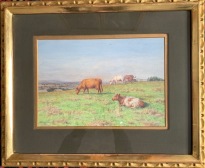 Kor i hage (Dixon Clark)