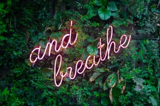 Foto: Unsplash Foto: Unsplash