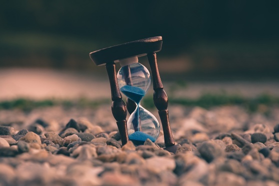 Bild: Unsplash Bild: Unsplash