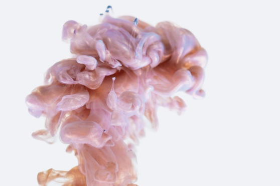 Bild: Unsplash Bild: Unsplash