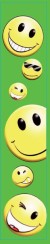 2149 Smiley Green