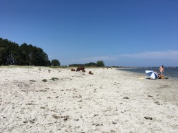 Sola och bada på Öland Sola och bada på Öland