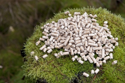 Beställ pellets i Hylte – 8 mm kvalitetspellets från Derome AB hos Torups Byggshop i Torup.  Foto: Derome