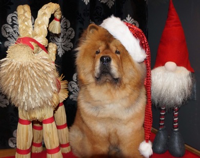 Nu ser vi fram mot ljusare tider!