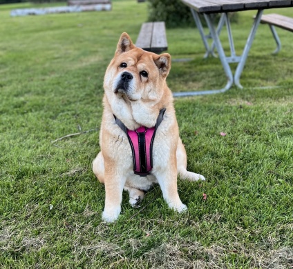 Nu ser vi fram mot ljusare tider!