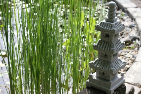 japansk trädgård stenhus