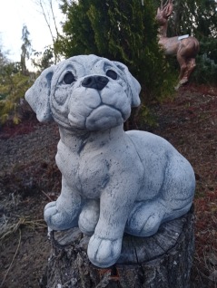 trädgårdskonst boxer , trädgårdsskulptur hund