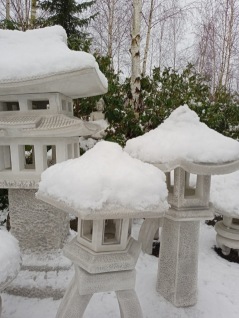 vinter i trädgården japansk trädgård