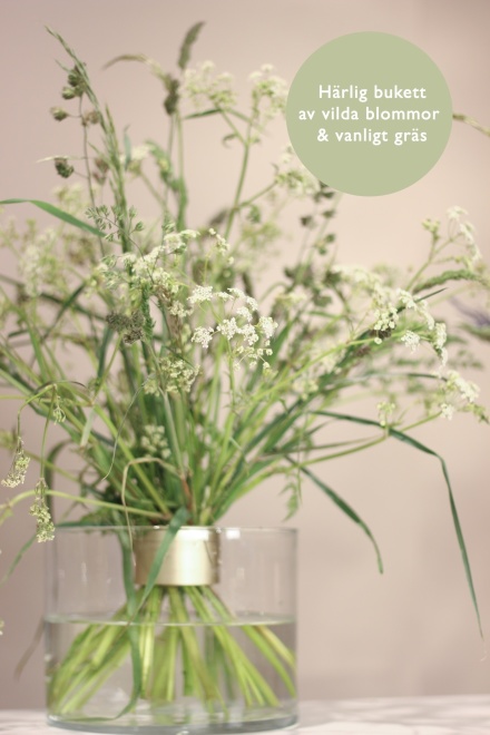 Härlig bukett av vilda blommor och vanligt gräs Härlig bukett av vilda blommor och vanligt gräs