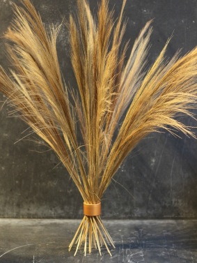 Stående torkad pampas Hanataba guld Stående torkad pampas Hanataba guld