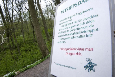 BJÖRN LARSSON ROSVALL / TT Vitsippsdalen. Arkivbild. BJÖRN LARSSON ROSVALL / TT Vitsippsdalen. Arkivbild.