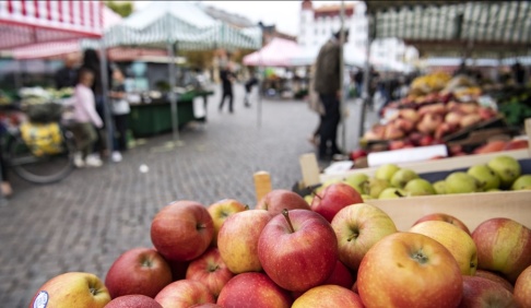 Johan Nilsson/TT Här, på Möllevångstorget i Malmö, har polisen installerat en högtalare för att kunna ge order eller varna vid akuta situationer. Arkivbild. Johan Nilsson/TT Här, på Möllevångstorget i Malmö, har polisen installerat en högtalare för att kunna ge order eller varna vid akuta situationer. Arkivbild.