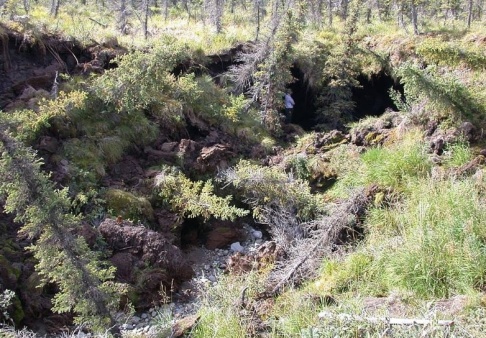 Edward Schuur / University of Florida Tinande permafrost har orsakat markkollaps i Alaska. Arkivbild. Edward Schuur / University of Florida Tinande permafrost har orsakat markkollaps i Alaska. Arkivbild.