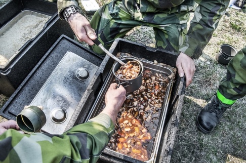 Tomas Oneborg/SvD/TT Fler värnplitiga behövs. Arkivbild. Tomas Oneborg/SvD/TT Fler värnplitiga behövs. Arkivbild.