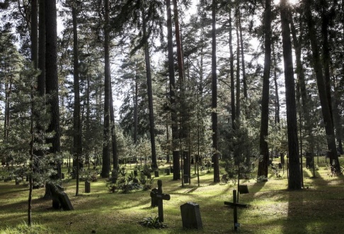 Helena Landstedt / TT Gravstenar och kors bland tallar på Skogskyrkogården i södra Stockholm. Arkivbild. Helena Landstedt / TT Gravstenar och kors bland tallar på Skogskyrkogården i södra Stockholm. Arkivbild.
