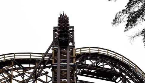 Marko Säävälä/TT Wildfire på Kolmårdens djurpark. Arkivbild. Marko Säävälä/TT Wildfire på Kolmårdens djurpark. Arkivbild.