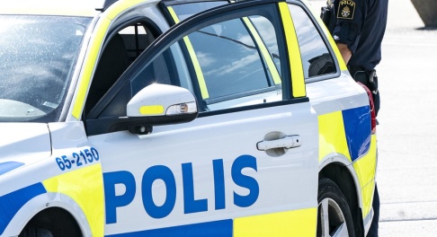 Johan Nilsson/TT Polisen hittade en skadad hund fastkedjad i skogen. Arkivbild. Johan Nilsson/TT Polisen hittade en skadad hund fastkedjad i skogen. Arkivbild.