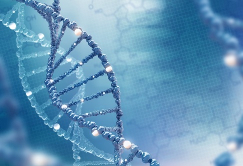 Ravil Sayfullin Genom dna-analys har forskare kunnat visa att anorexia både hänger ihop med andra psykiatriska sjukdomar och med ämnesomsättningen. Arkivbild av en dna-spiral. Ravil Sayfullin Genom dna-analys har forskare kunnat visa att anorexia både hänger ihop med andra psykiatriska sjukdomar och med ämnesomsättningen. Arkivbild av en dna-spiral.
