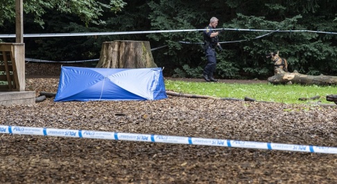 Johan Nilsson/TT Polisen har sökt med hund innanför avspärrningarna i Pildammsparken. Johan Nilsson/TT Polisen har sökt med hund innanför avspärrningarna i Pildammsparken.