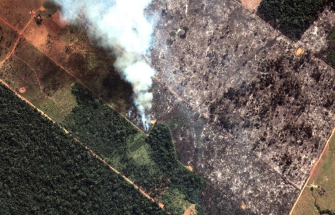 Maxar/AP/TT Satellitbild som visar brinnande regnskog i den brasilianska delstaten Rondônia. Maxar/AP/TT Satellitbild som visar brinnande regnskog i den brasilianska delstaten Rondônia.